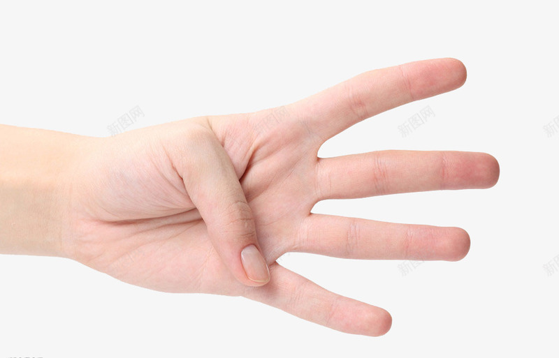 手指png免抠素材_88icon https://88icon.com 一只手 干净的手 手势