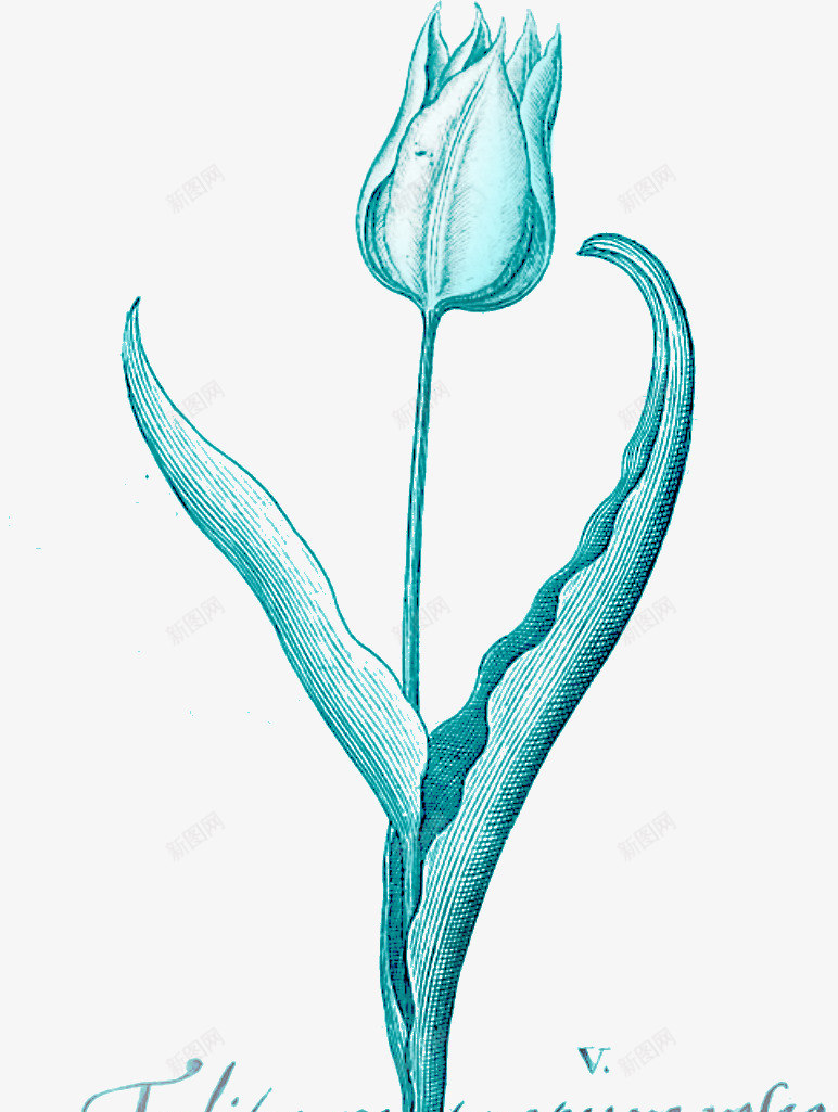 花卉图案ps花卉蓝色唯美png免抠素材_88icon https://88icon.com 唯美 国画花卉素材 水彩花卉 花卉插画 花枝 花草素材 蓝色 鲜花花卉