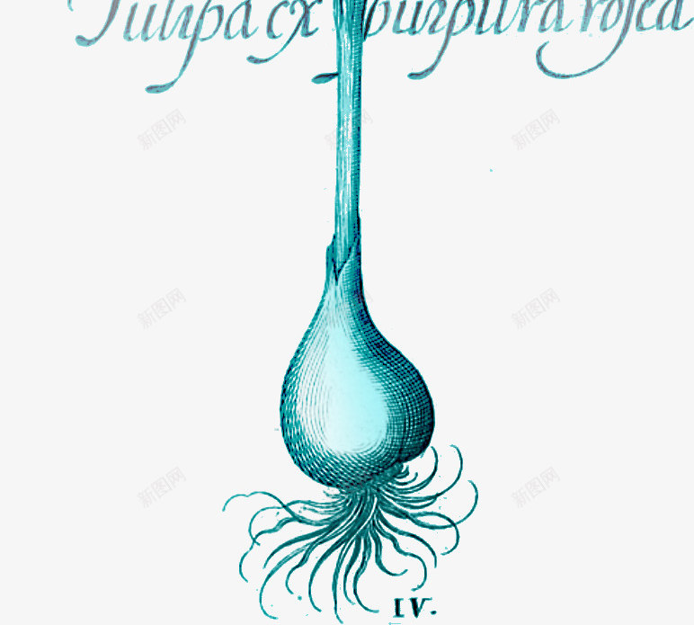 花卉图案ps花卉蓝色唯美png免抠素材_88icon https://88icon.com 唯美 国画花卉素材 水彩花卉 花卉插画 花枝 花草素材 蓝色 鲜花花卉