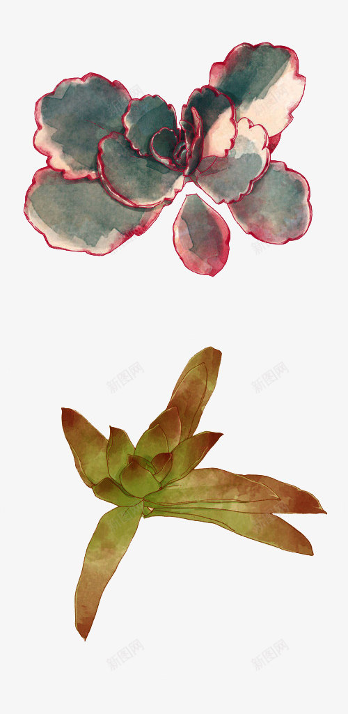 多种多肉植物png免抠素材_88icon https://88icon.com 可爱 多肉植物 植物