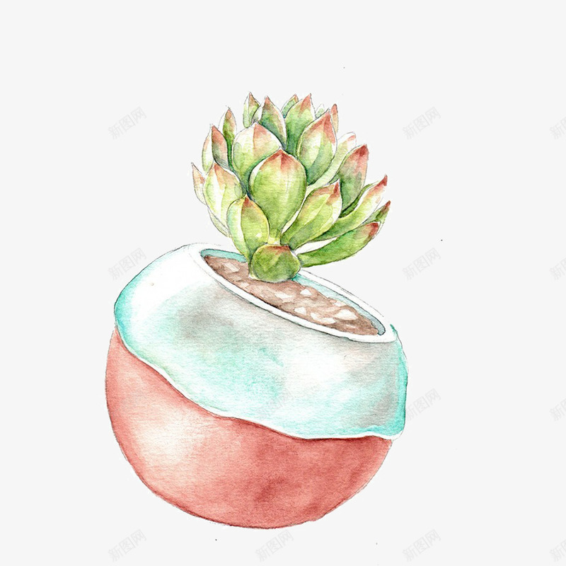 红绿色的多肉植物png免抠素材_88icon https://88icon.com 多肉植物 植物 矢量植物 红色 绿色