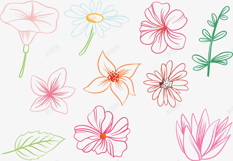 芙蓉莲花自然简单花卉png免抠素材_88icon https://88icon.com 自然 芙蓉 花卉 莲花