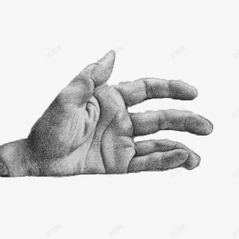男人手指png免抠素材_88icon https://88icon.com 手指 手绘 男人手 男人手指 矢量男人手 立体 简约