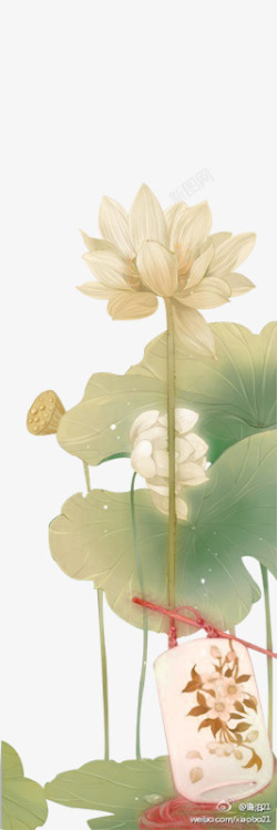 手绘莲花png图片下载 手绘莲花素材