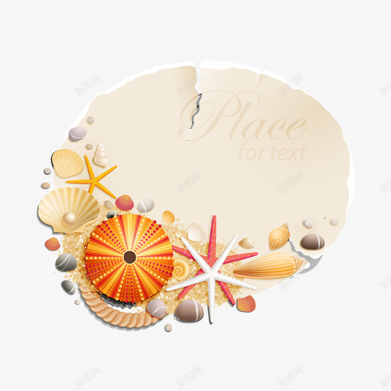 夏日精美贝壳矢量图ai免抠素材_88icon https://88icon.com 夏日 精美 贝壳 矢量图