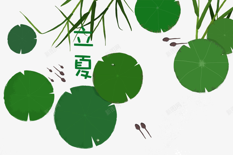 立夏夏日装饰插图荷叶与蝌蚪png免抠素材_88icon https://88icon.com 夏日 小蝌蚪卡通 手绘插图 立夏 荷叶 蝌蚪 装饰插图