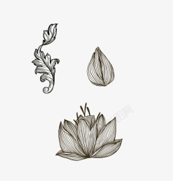素描画png图片下载 素描画素材
