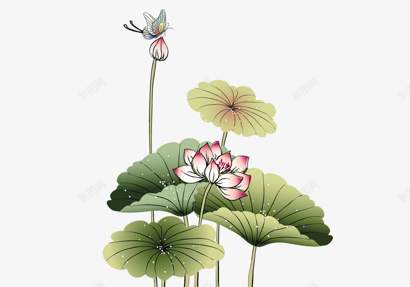 手绘莲花荷叶png免抠素材_88icon https://88icon.com 中国风 手绘莲花荷叶 绿色 蜻蜓