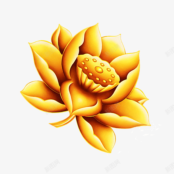 金色莲花png免抠素材_88icon https://88icon.com 莲花 莲花清新 金色莲花素材