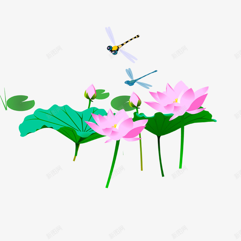 荷花蜻蜓png免抠素材_88icon https://88icon.com 花朵 荷花 莲花 蜻蜓