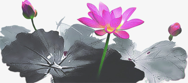 粉色莲花水墨装饰png免抠素材_88icon https://88icon.com 水墨 粉色 莲花 装饰