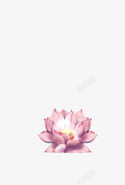 手绘莲花png图片下载 手绘莲花素材