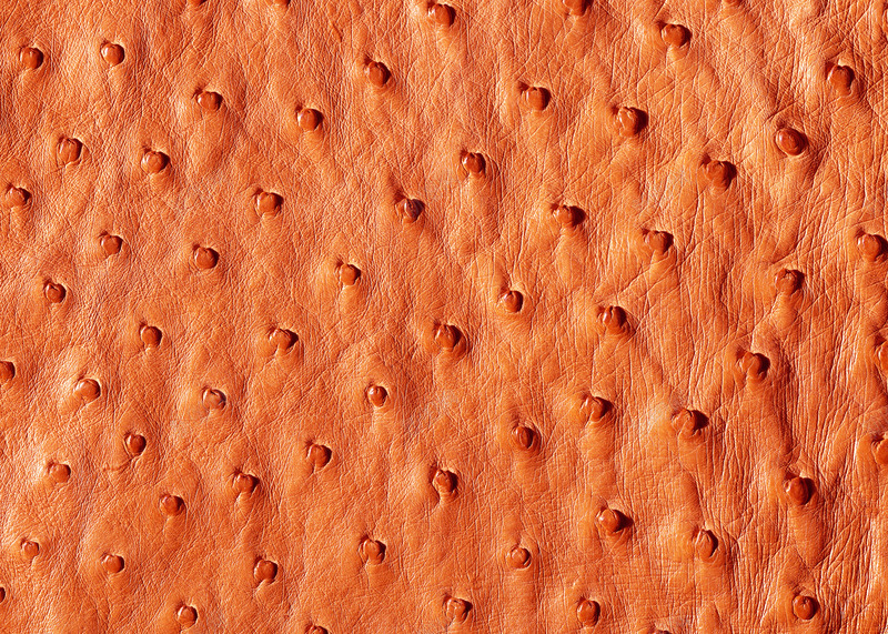 皮革纹理皮质肌理设计美工叠加合成海报图库jpg设计背景_88icon https://88icon.com 皮革 纹理 皮质 肌理 设计 美工 叠加 合成 海报 图库