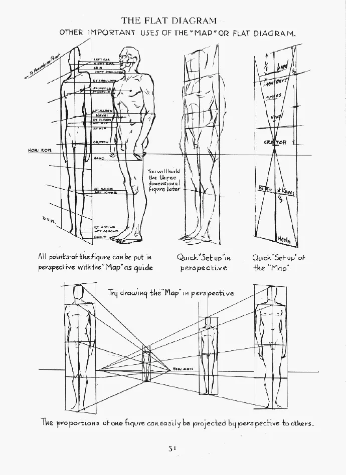 在初学绘画阶段熟悉这些理论上的人体比例结构还是很重素材