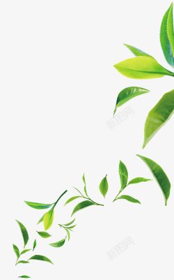 绿色清新茶叶装饰图案素材