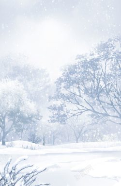 冬季树林暴风雪高清图片