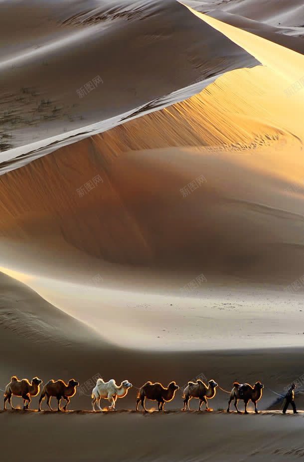 自然地理沙漠丘陵jpg设计背景_88icon https://88icon.com 丘陵 地理 沙漠 自然