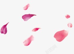 浪漫粉色H5素材漂浮桃花花瓣高清图片