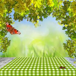 红格子桌布绿色格子桌布桌面绿色树叶花蝴蝶背景高清图片