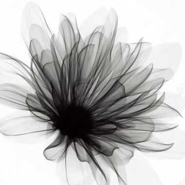 黑色科技花朵背景背景