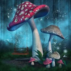 梦幻草和蘑菇美丽仙境里的蘑菇高清图片