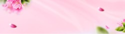 粉色绸带美容banner高清图片
