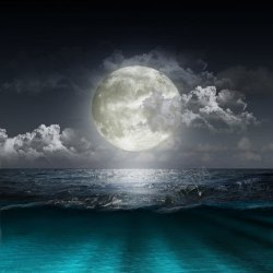 夜色黑衣海面上的月亮高清图片