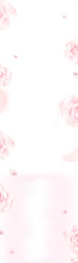 兰蔻化妆品花朵背景背景