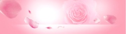 淡雅海报粉色玫瑰花开温馨浪漫海报背景高清图片