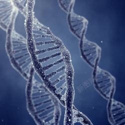 DNA基因基因细胞高清图片