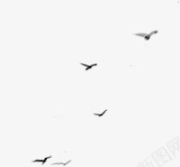 天空中的飞鸟海报背景png免抠素材_88icon https://88icon.com 天空 海报 背景 飞鸟