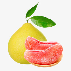 柚子叶子红心柚子商品图高清图片