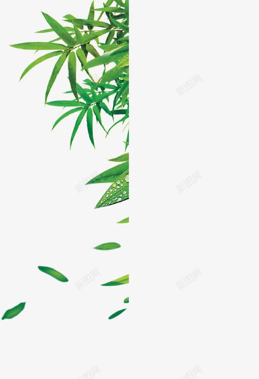 端午节元素png免抠素材_88icon https://88icon.com 礼物 端午 端午节 粽子 粽叶