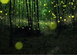 萤火虫海报绿色萤火虫竹林海报背景高清图片