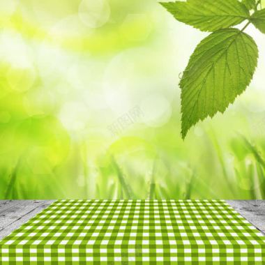 绿叶下的绿色格子桌布背景