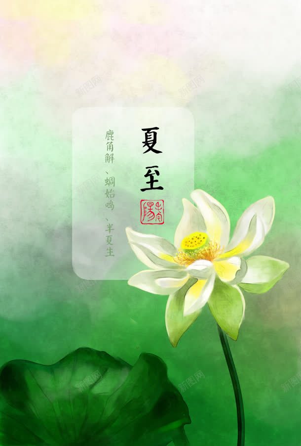 白叶黄芯节气夏至jpg设计背景_88icon https://88icon.com 夏至 节气