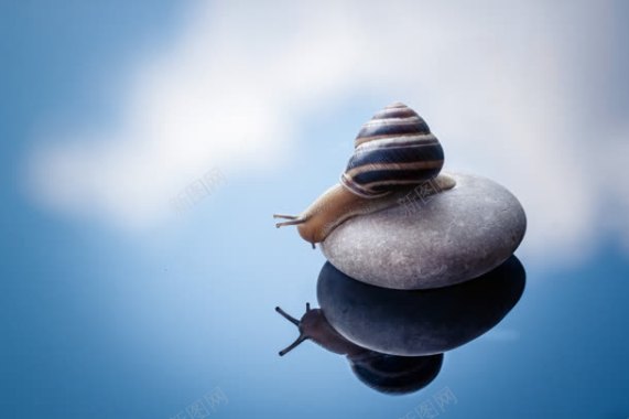 水面石头蜗牛唯美背景