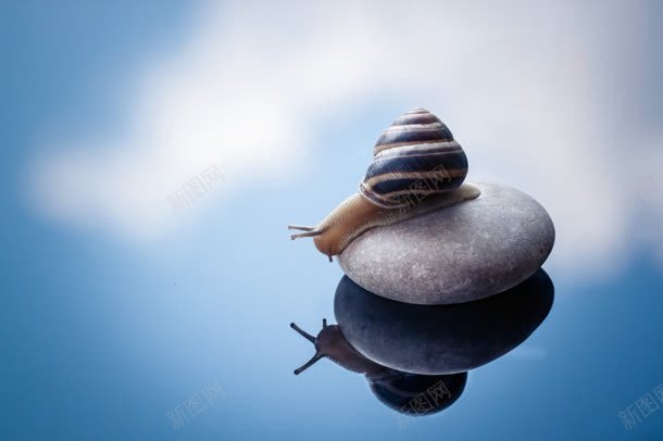 水面石头蜗牛唯美jpg设计背景_88icon https://88icon.com 水面 石头 蜗牛