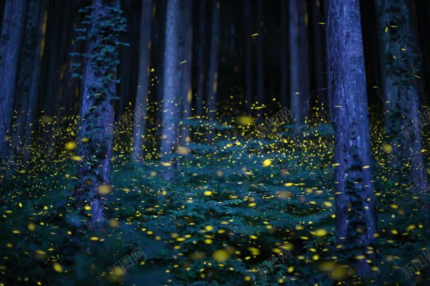 森林里的群萤火虫jpg设计背景_88icon https://88icon.com 森林 萤光 萤火虫