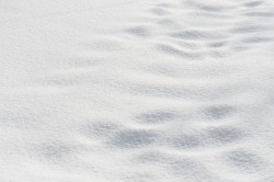 白雪风景素材冬天积雪高清图片