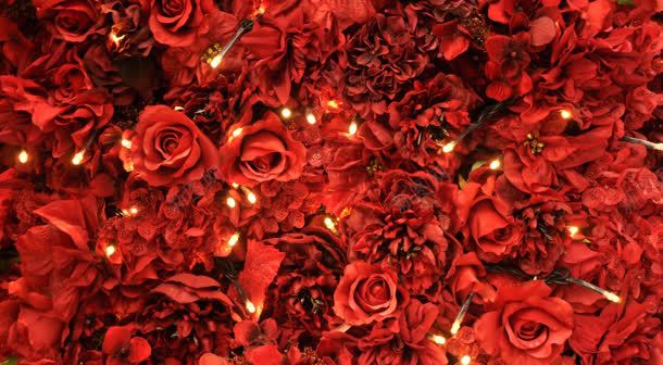 红色玫瑰花花灯大图背景