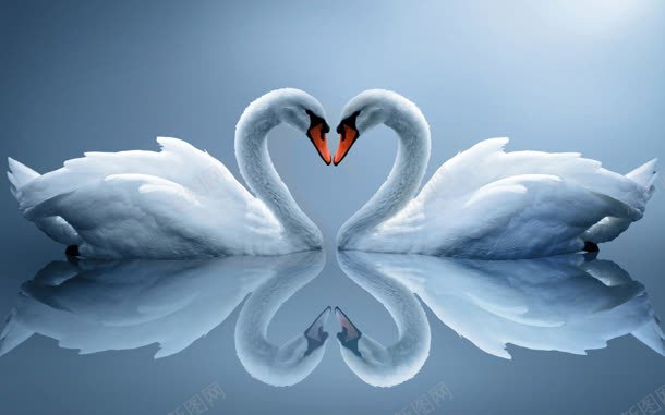 两只天鹅汇成一个心jpg设计背景_88icon https://88icon.com 一个爱心 一对 天鹅 情侣天鹅 汇成 温馨图案