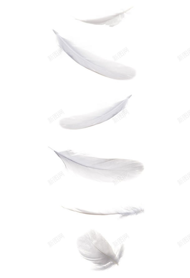 布拉格广场上的鸽子的羽毛jpg设计背景_88icon https://88icon.com 布拉格 广场 羽毛 鸽子