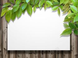 木板相框叶子与木板背景高清图片