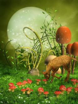蘑菇草童话里的森林高清图片