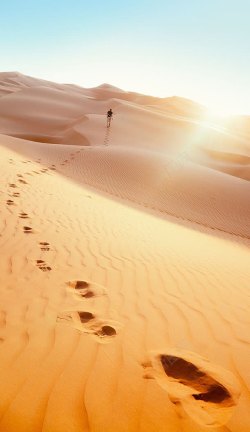 沙滩上男人的脚印蓝天下的沙漠脚印高清图片