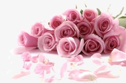 粉色浪漫玫瑰花束素材