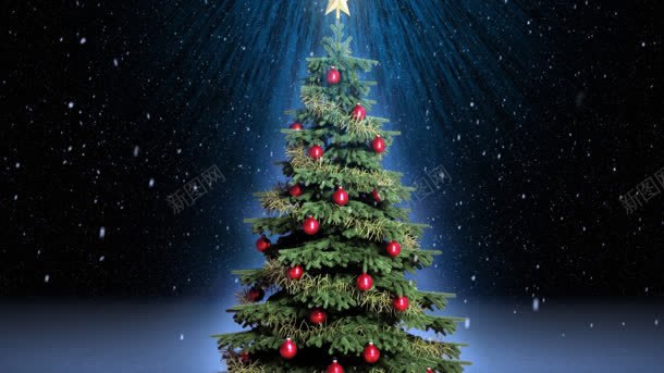 星空下的圣诞树圣诞节海报背景背景