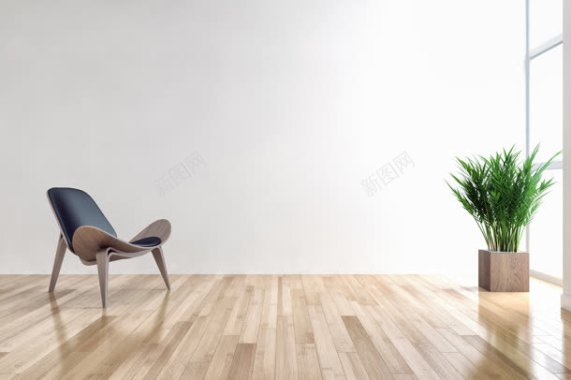 干净的房间椅子和植物背景