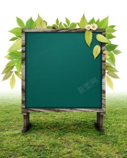 绿叶木板绿色框架摄影高清图片